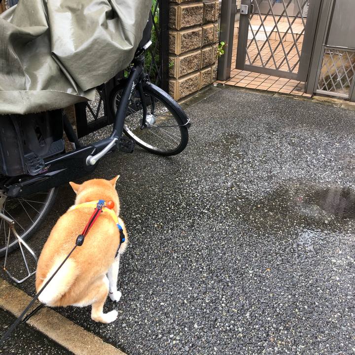 A414de93 e707 4aab ae26 3f2c3879e06a 1594081480052