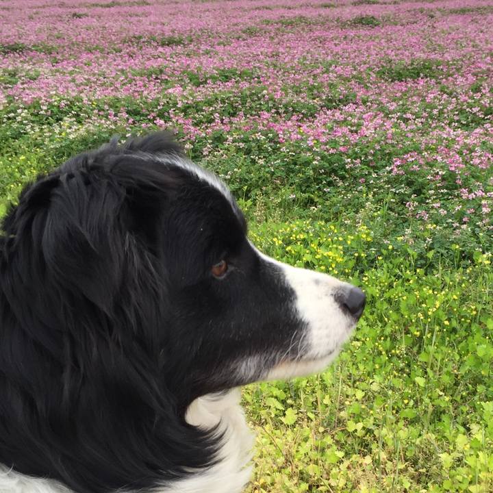 A4150819 007b 4706 91ec 8d2ad206b782 1523660062968