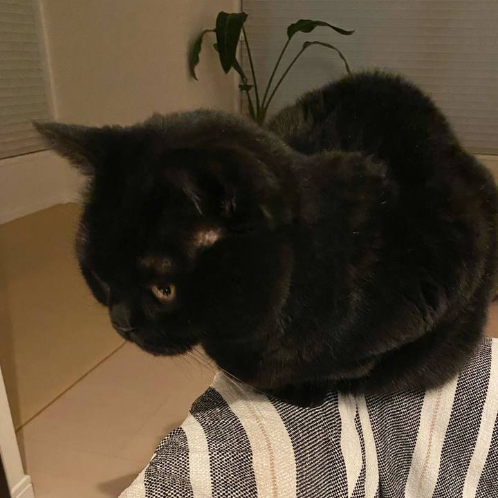 A41518e6 3368 4761 8cc8 17c18c6a9bdb 1774789732684