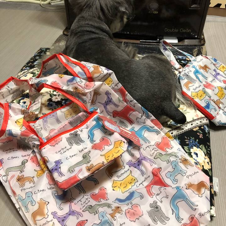 A4151a29 b323 4f38 a200 1e990d9bdb9d 1582028402367