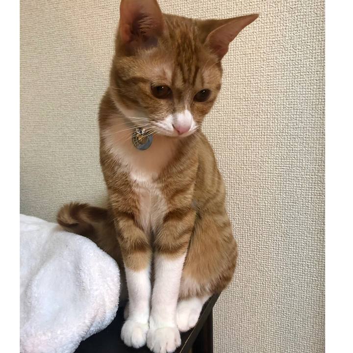 A41570a5 5833 49c5 9fc6 d15975a8363c 1551096590890