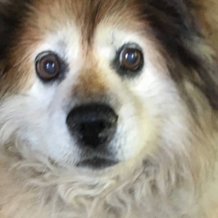 A41589c0 21b3 40db b4dc 64c543eeb825 1623460917570