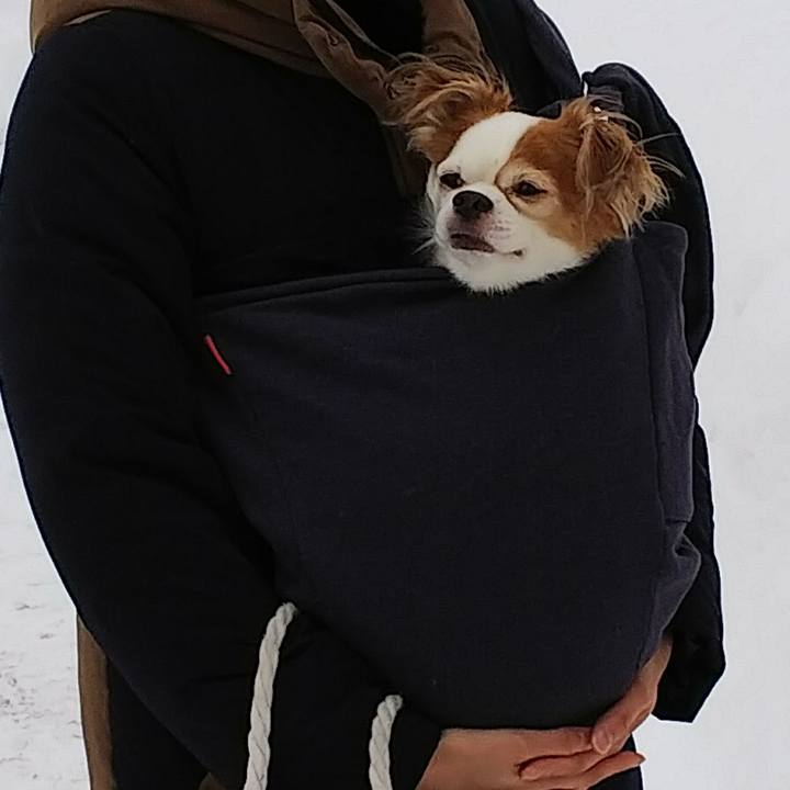 A4159c17 eab6 4c4e a902 03b59783f933 1517118768545