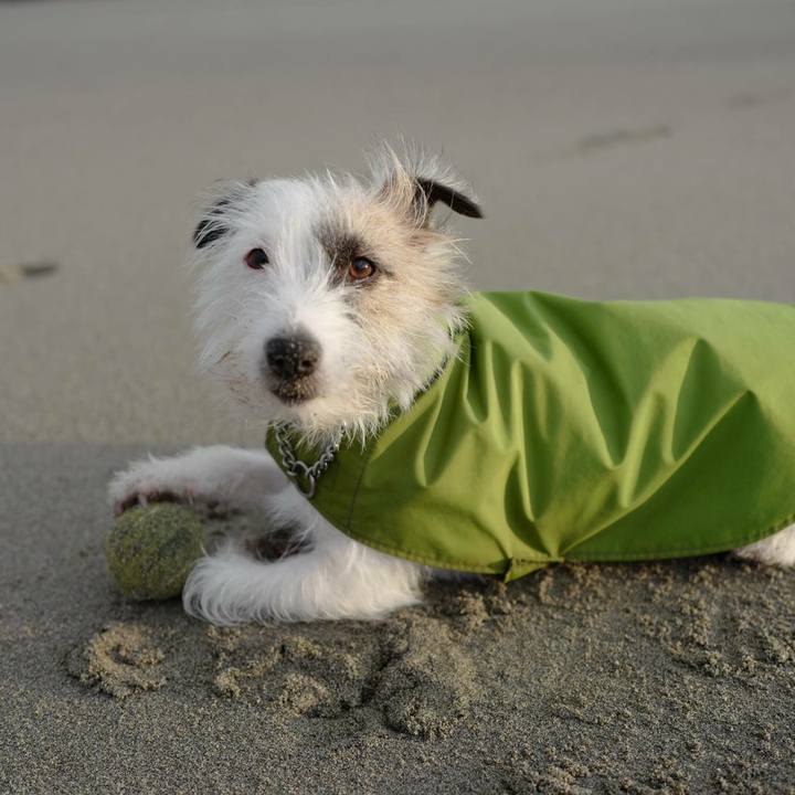 A415b926 6587 4675 b13e fdfdae416de4 1515125887573