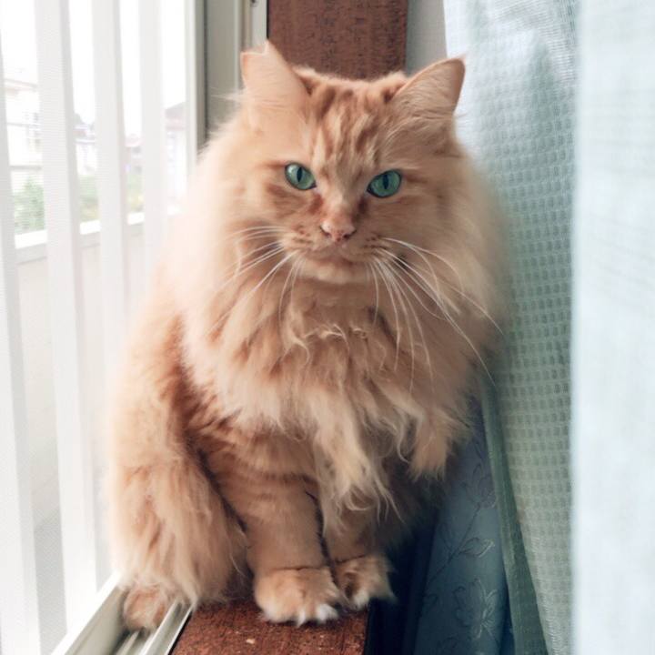 A415dfae f847 4d9c a3cc 50070ab5bbd9 1511872869344