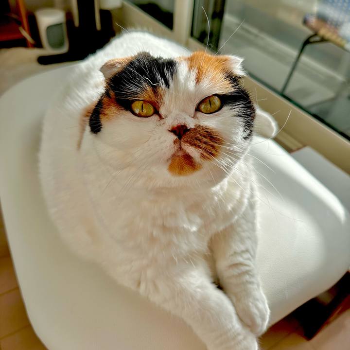 A415f458 c560 4870 b975 b60b8d5a2038 1702513176232