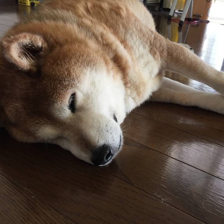 A4162360 04e0 4e19 9bfd 5cdc3a552d8a 1556172507113