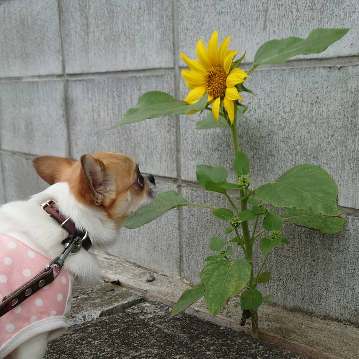 A4163b52 a736 4a5c 8bbe ff4fb0a12877 1624531202135