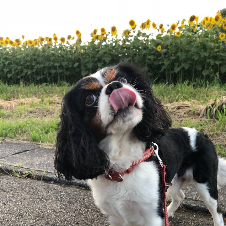 A4163c7e 464b 44d1 abd9 cbf6e572d6bd 1534499902154