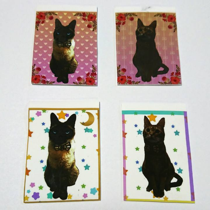 A4166d2f d57b 4597 99c0 a34b2851caeb 1535630245426