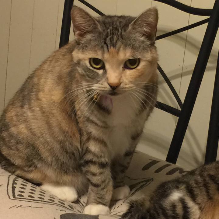 A416d9c4 c36e 4570 9649 17514abb42da 1547739656178