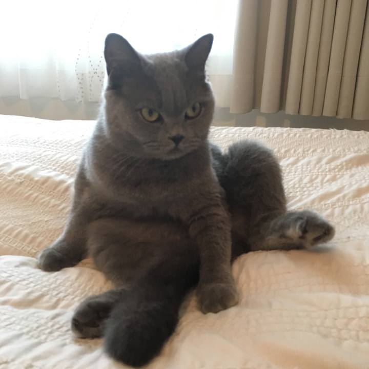 A416efe0 949a 4294 accf d9e76669991a 1508413152187