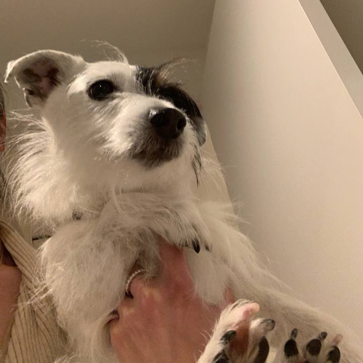 A4171aca ebf9 4043 9502 ba1e75efe283 1680956600569