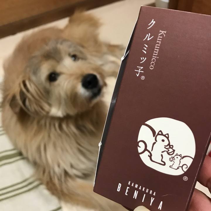 A41752c2 906d 4cca bb0a 2f4353e0d972 1551575437073