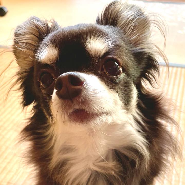 A417c48d d0f1 4393 877e 9247bc402f64 1614489217530