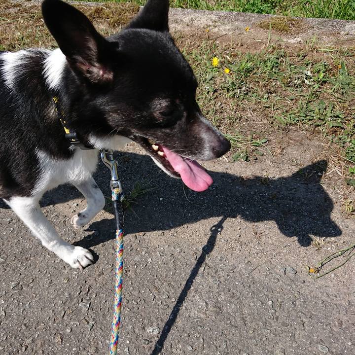 A417c753 bd42 4f3b b7ad b19b3d0e941c 1559523352467