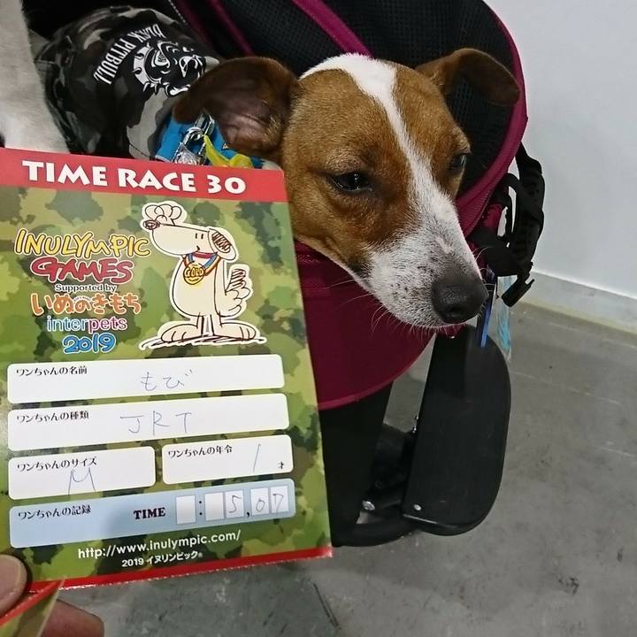 A417c85f 84ce 4d88 b668 491f239001de 1553915669912