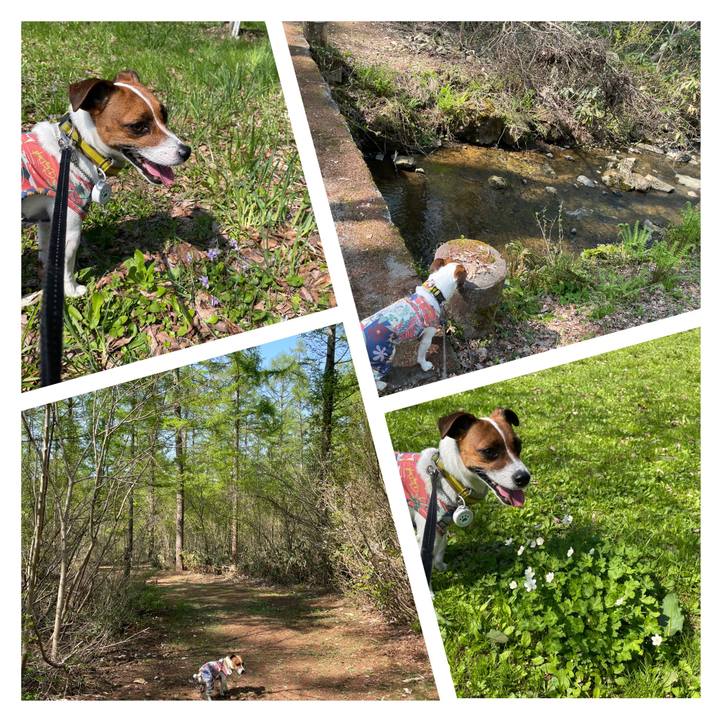 A417ccdb 8a98 4435 84db 5e3ac12c68c3 1651743964019