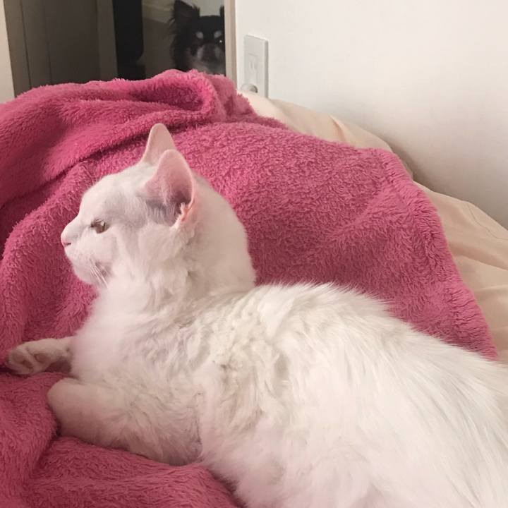 A417cdec ed65 4448 983f 31eb872e7e4b 1517624124632