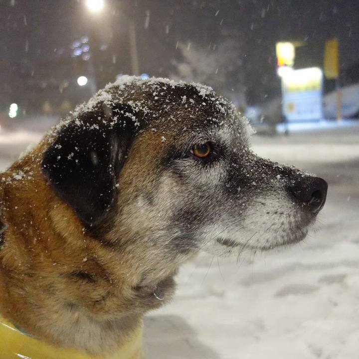 A417d4cd 7a1b 40d4 a0c2 eddaa7a84567 1516615897010