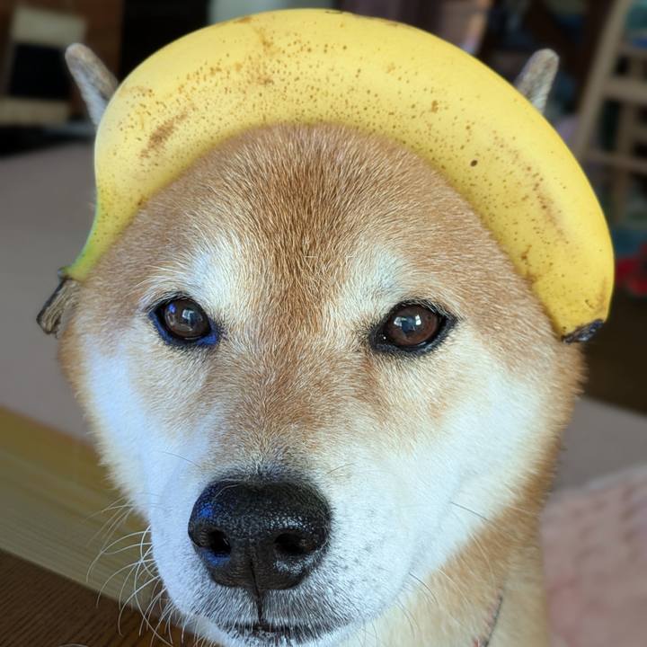 A417d9d2 c0cc 49fe 99e4 c8459a27040b 1755912599677