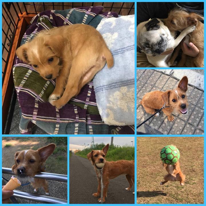 A417f79e 3045 47f4 99dc 2d11292a836b 1604061915347