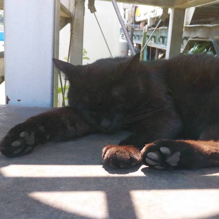 A4181f4e 15c5 4413 a18f 5ef16ba4ad3f 1623370390630