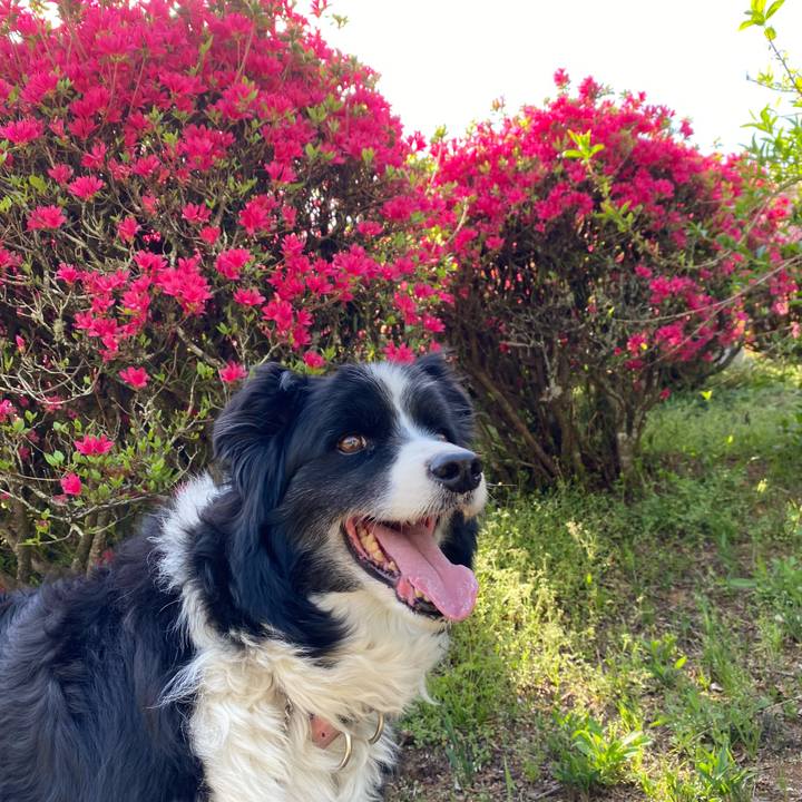 A418209c 7e84 4043 a25e 97bfd2ce840e 1681107900606