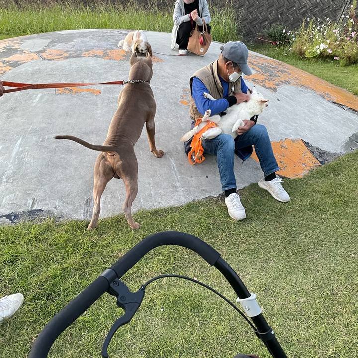 A41844f6 a2f4 4f02 8f03 de0d07753f5a 1666696525417