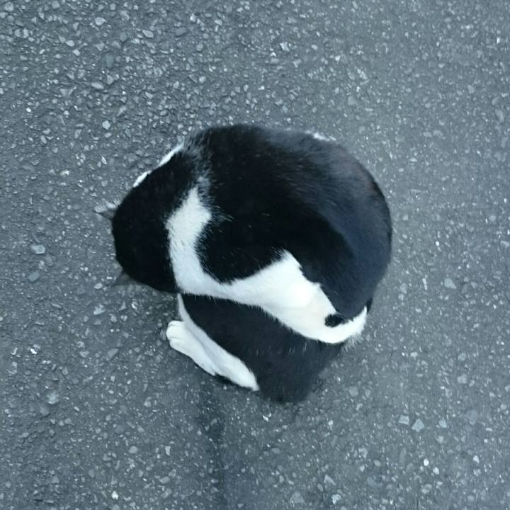 A4184f0a 921d 442e bd6b ad0b0910aeb4 1514008568317