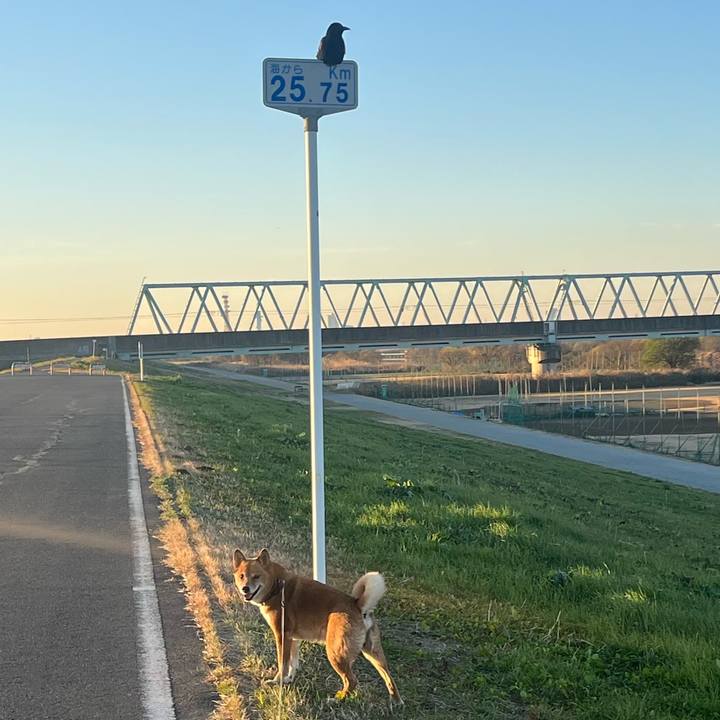 A41866d3 47bf 4cd5 bd5d a8e0ffa90bd6 1734740591212