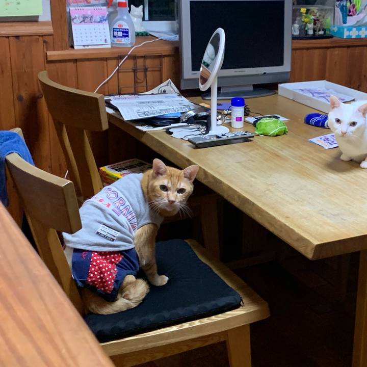 A4188f5c cc20 4823 91df 7601df1ec403 1617361914902