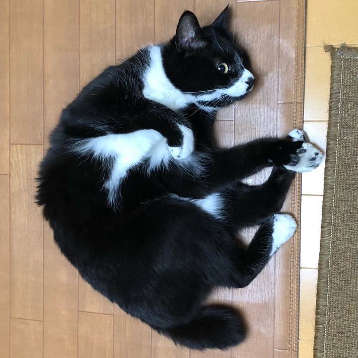 A418a70c f6ab 4db8 9c77 227bbbf7e013 1616039649053