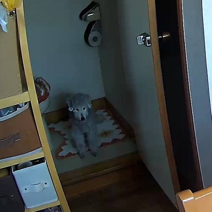 A418a88d 114a 43b8 82b4 db6772e594f4 1579850186149