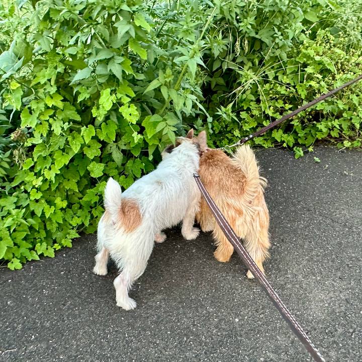 A418aa1f 5914 47fb a8a0 c34600faf177 1727351880782