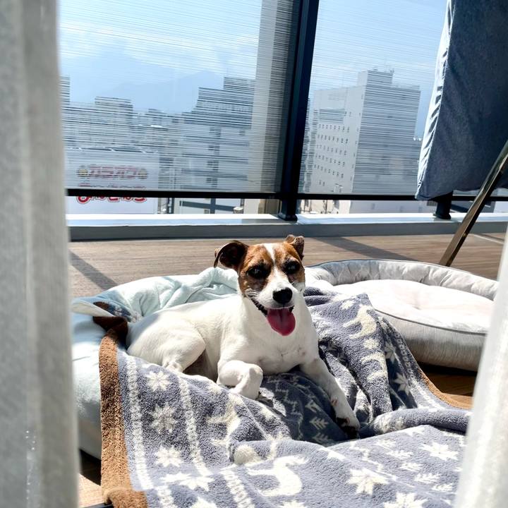 A418efcc ef68 4786 805f da2df2bd1346 1750289983857