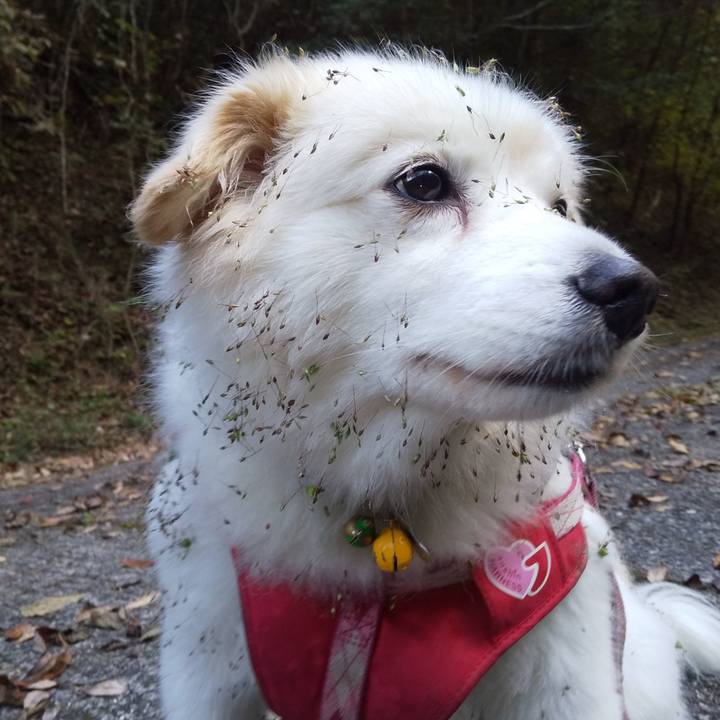 A418f43b 6dfb 4266 85a2 90d7b1a0373a 1572825589885