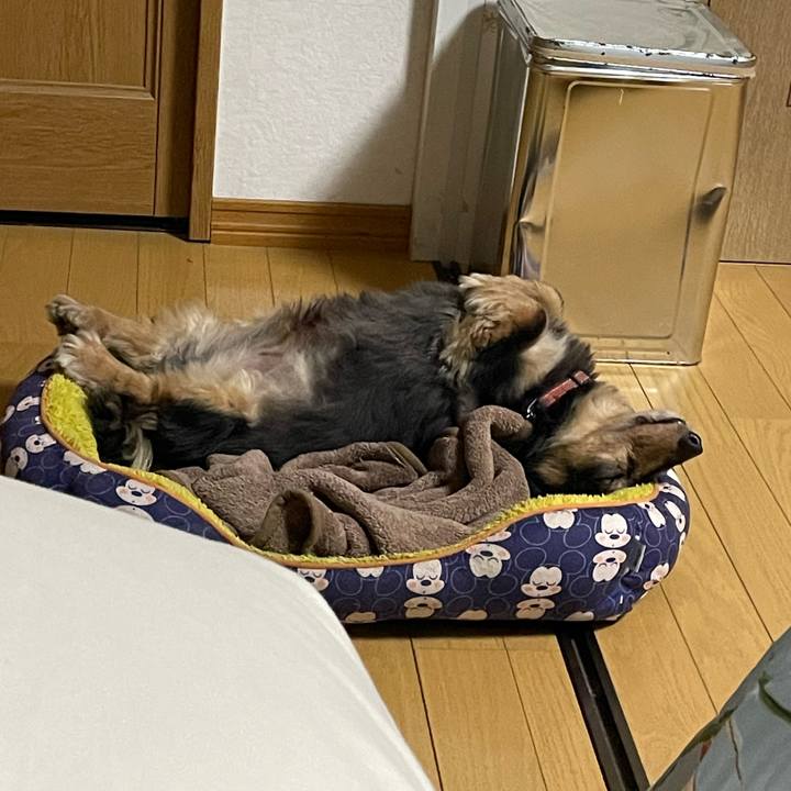 A4190645 472e 4cbb 83c3 957d7ba466a7 1653832033538