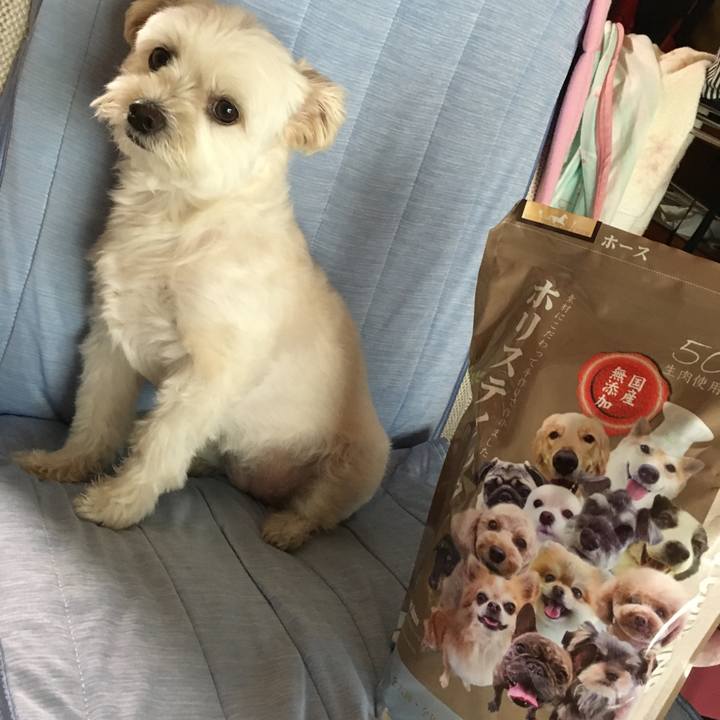 A4192727 344d 4525 9e76 1918c9f71fd3 1532501706967