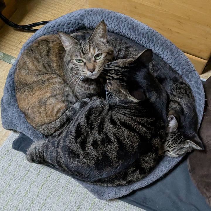 A4193918 7372 4f3d a5dd 5b5e1a9443a2 1765148234539