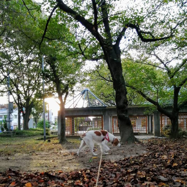 A41939af 3850 480a 84b9 85d143667200 1634643152477