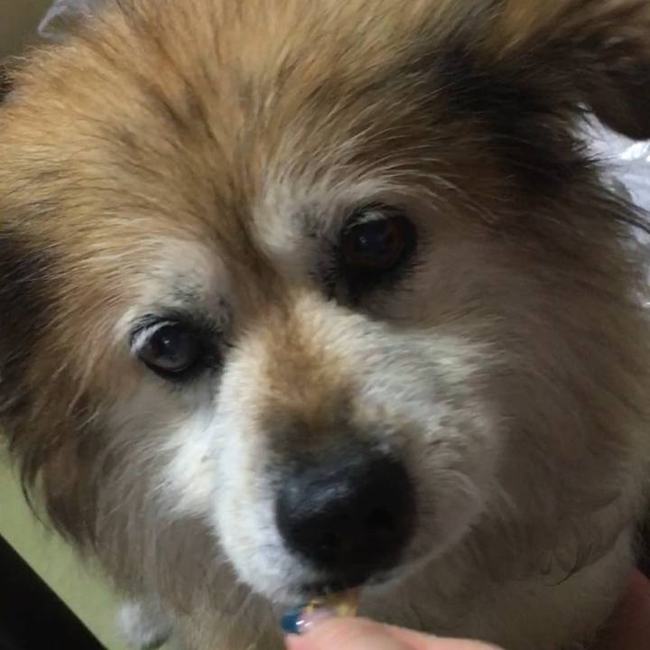 A41945c5 6fb3 46c1 86d1 57bdf2c70fab 1573464276786