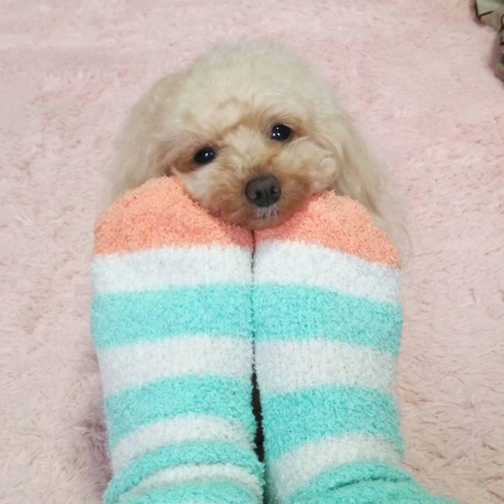 A419e243 033c 4392 b628 6dd7650c3e60 1547542989437