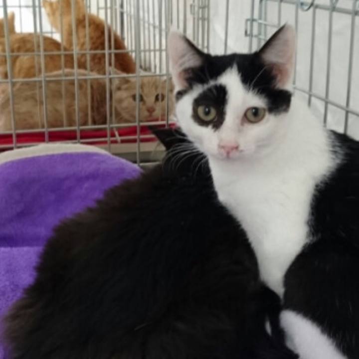 A419f1d2 9c1a 47c4 8874 83e11efb29bc 1578401052336