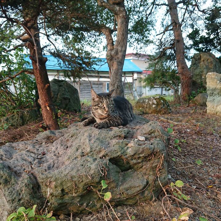 A41a6b8f 782c 4a6b 9963 558d82038fb5 1659994619435