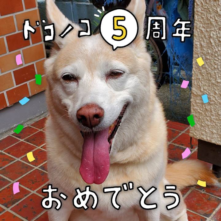 A41aa013 1cc4 4bff 8476 2fc2fe650bcb 1622947984587