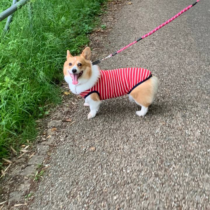 A41aa455 58e0 4bff aef0 4c5d78c60ae5 1589012703077