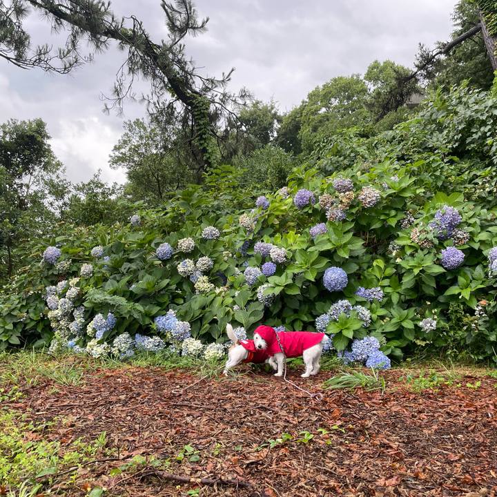 A41ab4ea cc9d 49f7 90e5 43b02cecc2cd 1659482712452