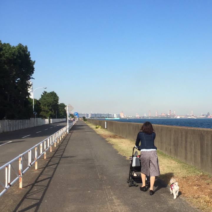 A41b1512 50b6 4ff4 95d5 1dd83efa86ea 1509717522831