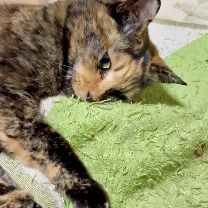 A41b1d5e 6eab 41ce 8ea6 629f809b18cc 1769978854353